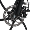 GTXR & SAMEBIKE 20LVXD30 electric bike