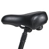GTXR & SAMEBIKE 20LVXD30 electric bike