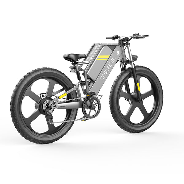 GTXR & COSWHEEL T26 electric bike