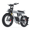 GTXR & COSWHEEL T20 electric bike