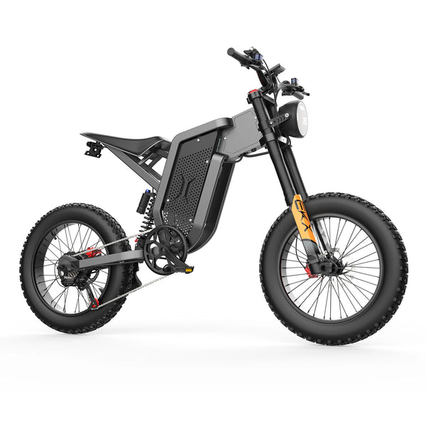 GTXR X21 All-Terrain Electric Bike【One-Month Presale】