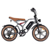 GTXR & Happyrun Tank G60 750W Electric Bike