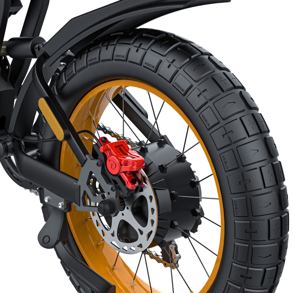 GTXR & COSWHEEL GT20 MAX vélo électrique【Prévente】