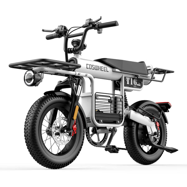 GTXR & COSWHEEL T20 electric bike