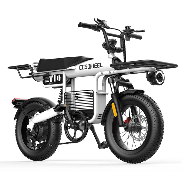 GTXR & COSWHEEL T20 electric bike