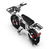 GTXR & COSWHEEL T20 electric bike