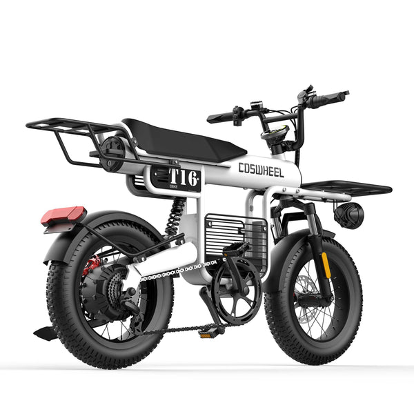 GTXR & COSWHEEL T20 electric bike