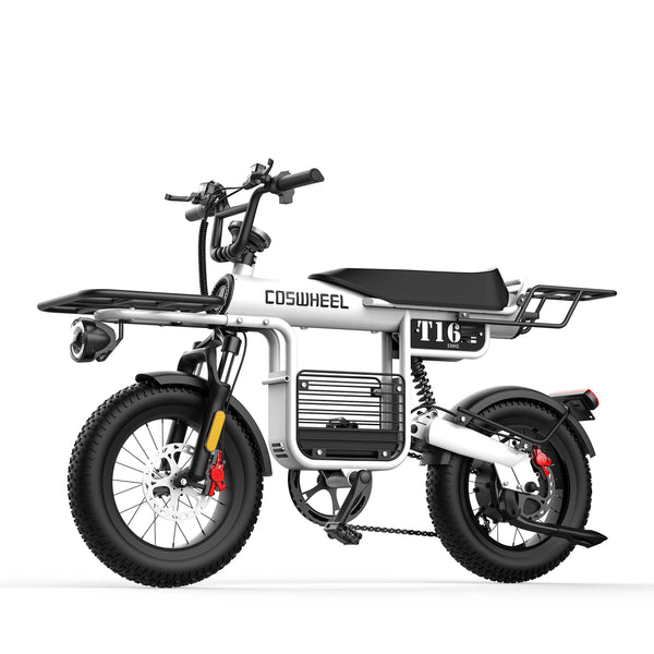 GTXR & COSWHEEL T20 electric bike
