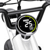 GTXR & COSWHEEL T20 electric bike