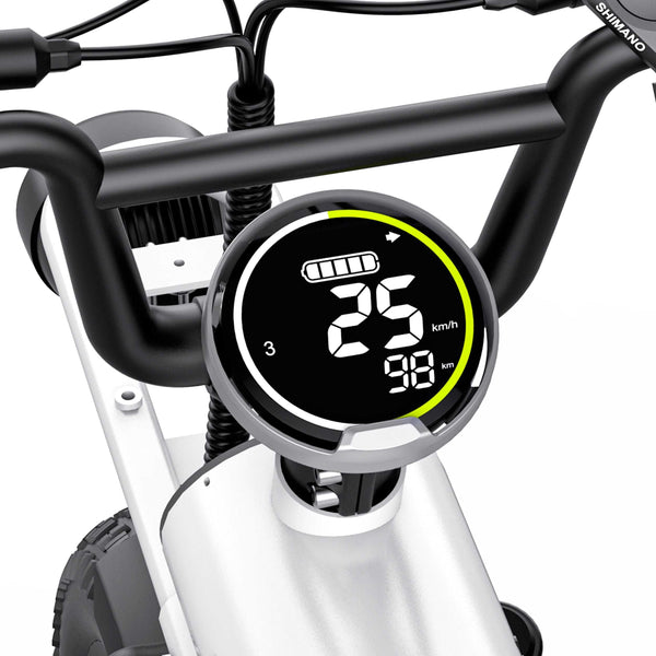GTXR & COSWHEEL T20 electric bike