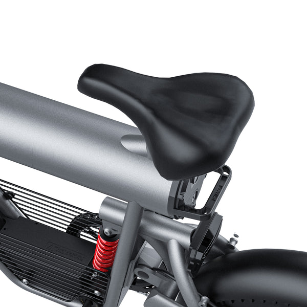 GTXR & COSWHEEL T20 electric bike