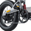 GTXR & COSWHEEL T20 electric bike