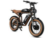 GTXR  & SAMEBIKE M20-III 2000W Electric Bicycle