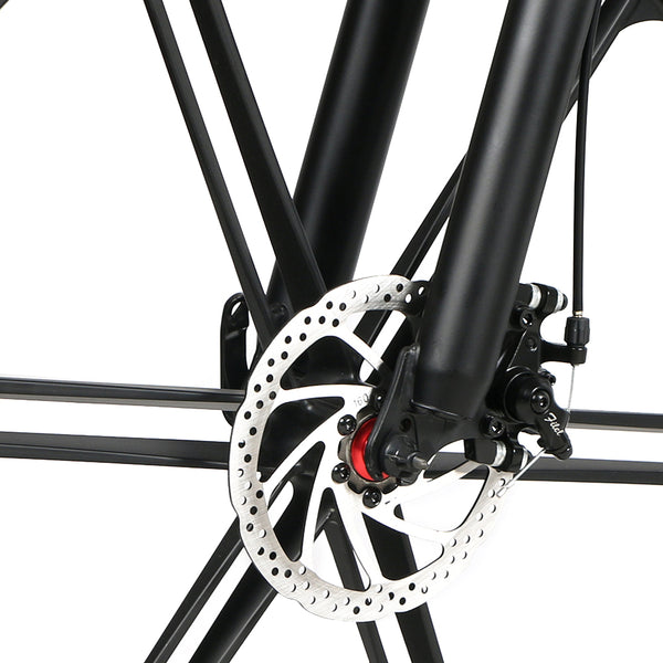 GTXR & SAMEBIKE LO26-II electric bike