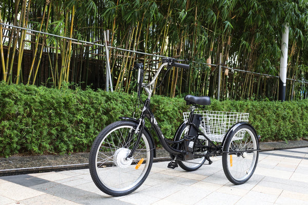 GTXR & GOGOBEST GF100 Electric City Tricycle Cargo Ebike【Pré-vente】