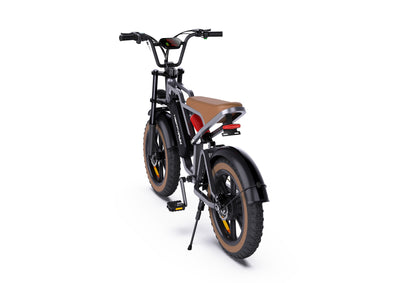 GTXR & Happyrun G60 Electric Bike