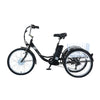 GTXR &amp; GOGOBEST GF100 Electric City Tricycle Cargo Ebike 