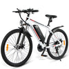 GTXR Z8 20 pollici pneumatico bicicletta velocità 45 km/h 500 W 48 V 15,6 Ah 41,5 kg potente