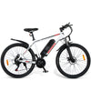 GTXR Z8 electric bike