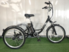 GTXR &amp; GOGOBEST GF100 Electric City Tricycle Cargo Ebike 