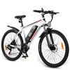 GTXR Z8 electric bike