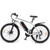 GTXR Z8 20 pollici pneumatico bicicletta velocità 45 km/h 500 W 48 V 15,6 Ah 41,5 kg potente