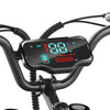 GTXR  & Happyrun Electric Bike G50