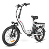 GTXR Z8 20 pollici pneumatico bicicletta velocità 45 km/h 500 W 48 V 15,6 Ah 41,5 kg potente