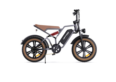 GTXR & Happyrun G60 Electric Bike