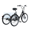 GTXR &amp; GOGOBEST GF100 Electric City Tricycle Cargo Ebike 