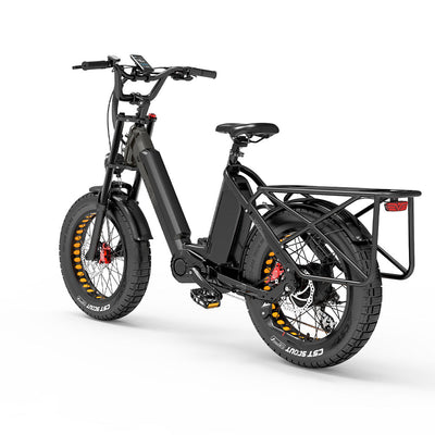 GTXR & BEZIOR X500MAX Electric Mountain Bike