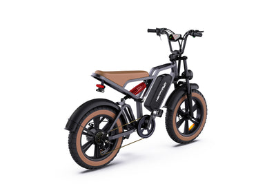 GTXR & Happyrun G60 Electric Bike