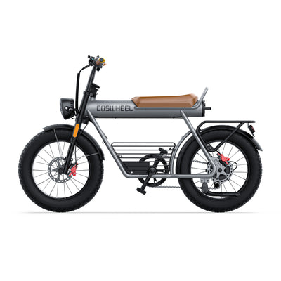 GTXR &amp; COSWHEEL CT20 electric bike