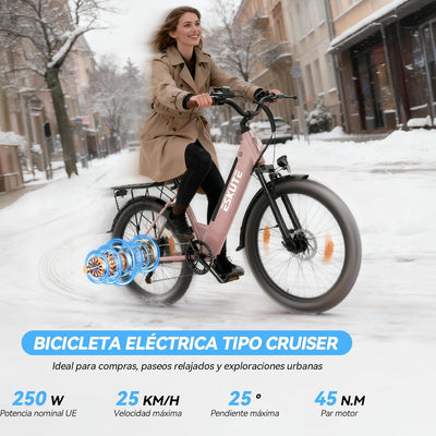 ESKUTE C100 Plus Adult Electric Bike 26, Electric Bike with Rear Motor 250W, Removable Battery 36V 13Ah, 7 Speeds, Max Speed 25 km/h, LCD Display, Low Frame, Men and Women
