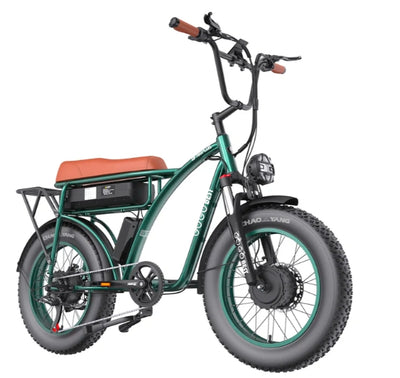 GTXR &amp; GOGOBEST GF750 electric bike