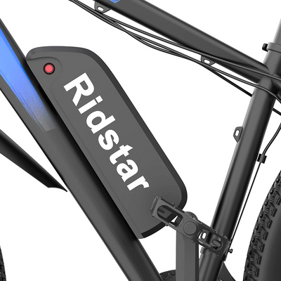 GTXR & Ridstar S29PRO 48V 1000W 21Ah Electric Bike