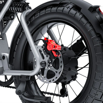 GTXR &amp; COSWHEEL T20 electric bike