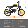 GTXR  & HappyRun G100 Fastest Electric Bikes 