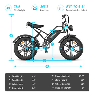 GTXR& Happyrun Electric Bike G50