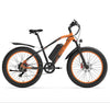 GTXR & GOGOBEST GF600 plus vélo électrique