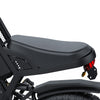 GTXR &amp; COSWHEEL GT20 electric bike