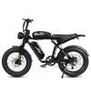 GTXR Z8 20 pollici pneumatico bicicletta velocità 45 km/h 500 W 48 V 15,6 Ah 41,5 kg potente