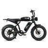 GTXR Z8 20 pollici pneumatico bicicletta velocità 45 km/h 500 W 48 V 15,6 Ah 41,5 kg potente