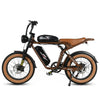 GTXR Z8 20 pollici pneumatico bicicletta velocità 45 km/h 500 W 48 V 15,6 Ah 41,5 kg potente