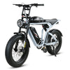 GTXR Z8 20 pollici pneumatico bicicletta velocità 45 km/h 500 W 48 V 15,6 Ah 41,5 kg potente