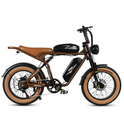 GTXR& SAMEBIKE M20-III 2000W Electric Bicycle