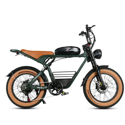 GTXR& SAMEBIKE M20 1000W Electric Bike