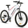 GTXR &amp; SAMEBIKE RS-A02 electric bike