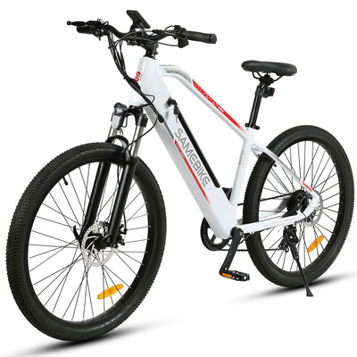 GTXR Z8 20 pollici pneumatico bicicletta velocità 45 km/h 500 W 48 V 15,6 Ah 41,5 kg potente