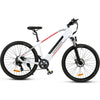 GTXR &amp; SAMEBIKE RS-A02 electric bike